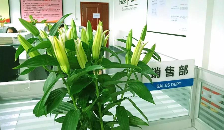 æµæä¸å¤ï¼æç¾ç¥ç¦ï¼